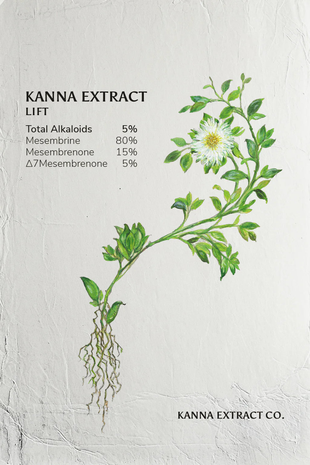 Lift Kanna Extract Powder